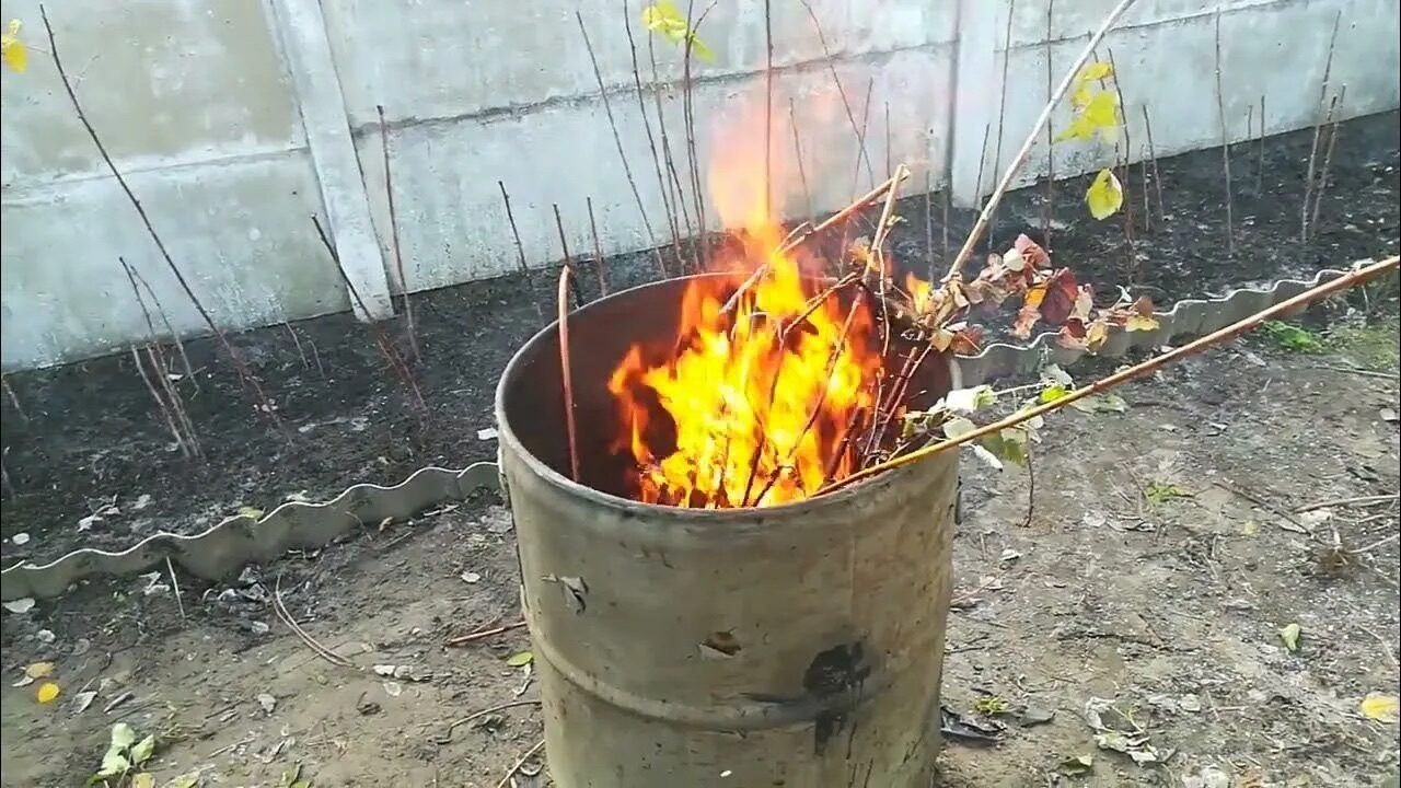 Можно ли жечь сухую траву на участке весной?